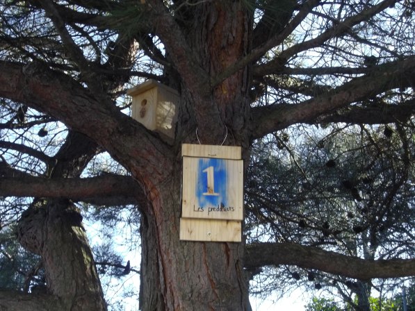 Abrics-ratapenadas-e-nisadors-1